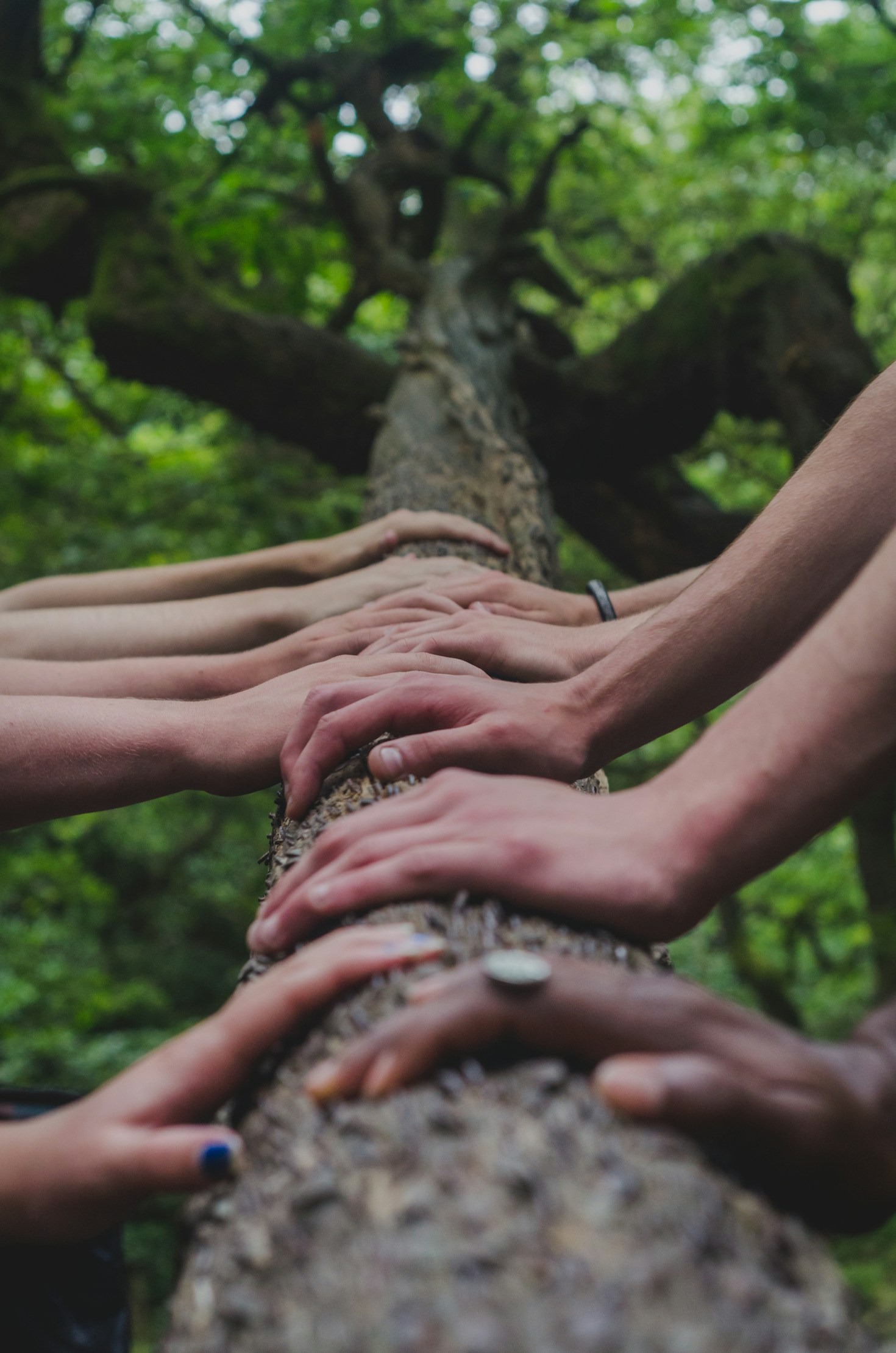 The Role of Discussion in Cultural Change